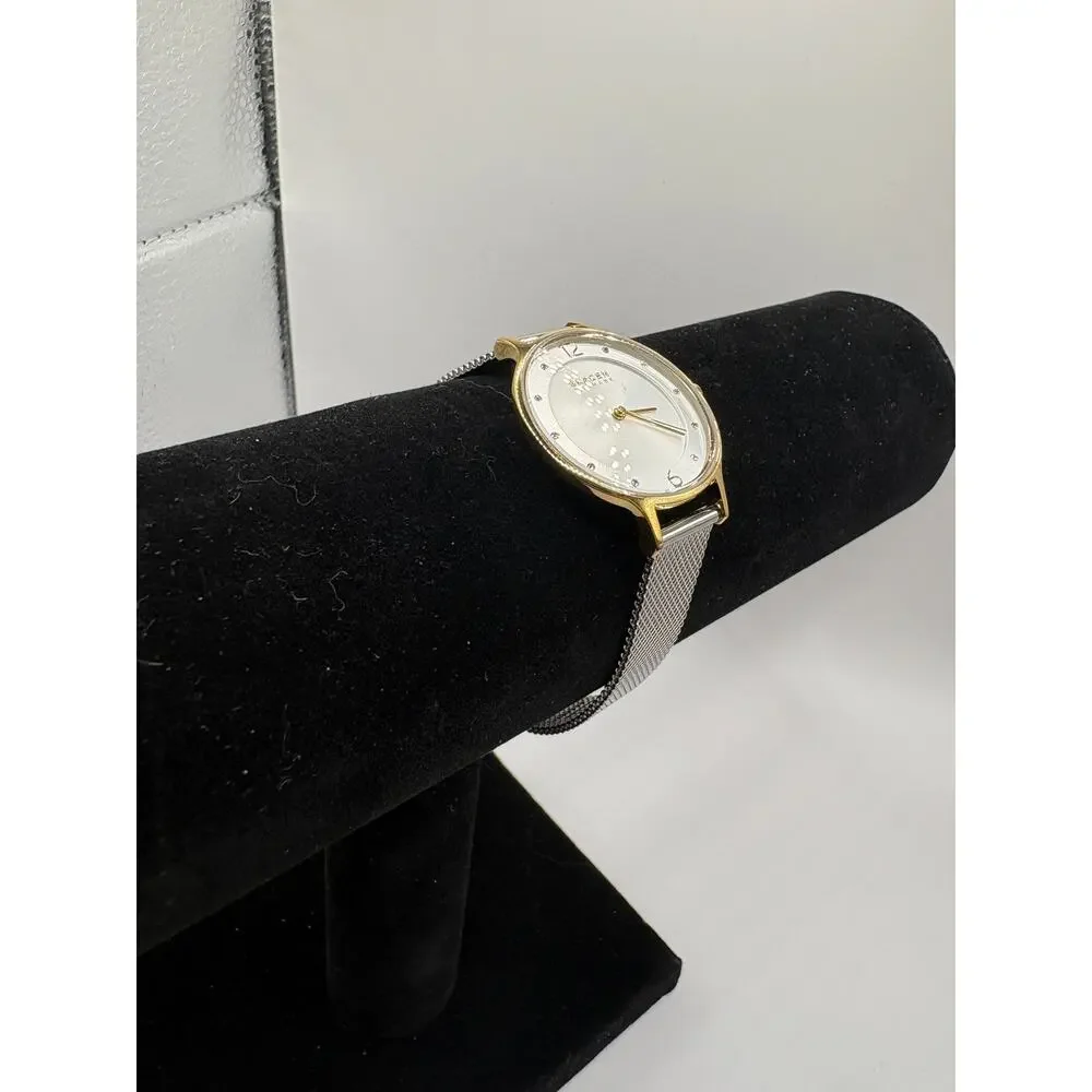 0227KC - Skagen Skagen Skw2340 Womens Two-Tone Gold Silver Mesh Watch